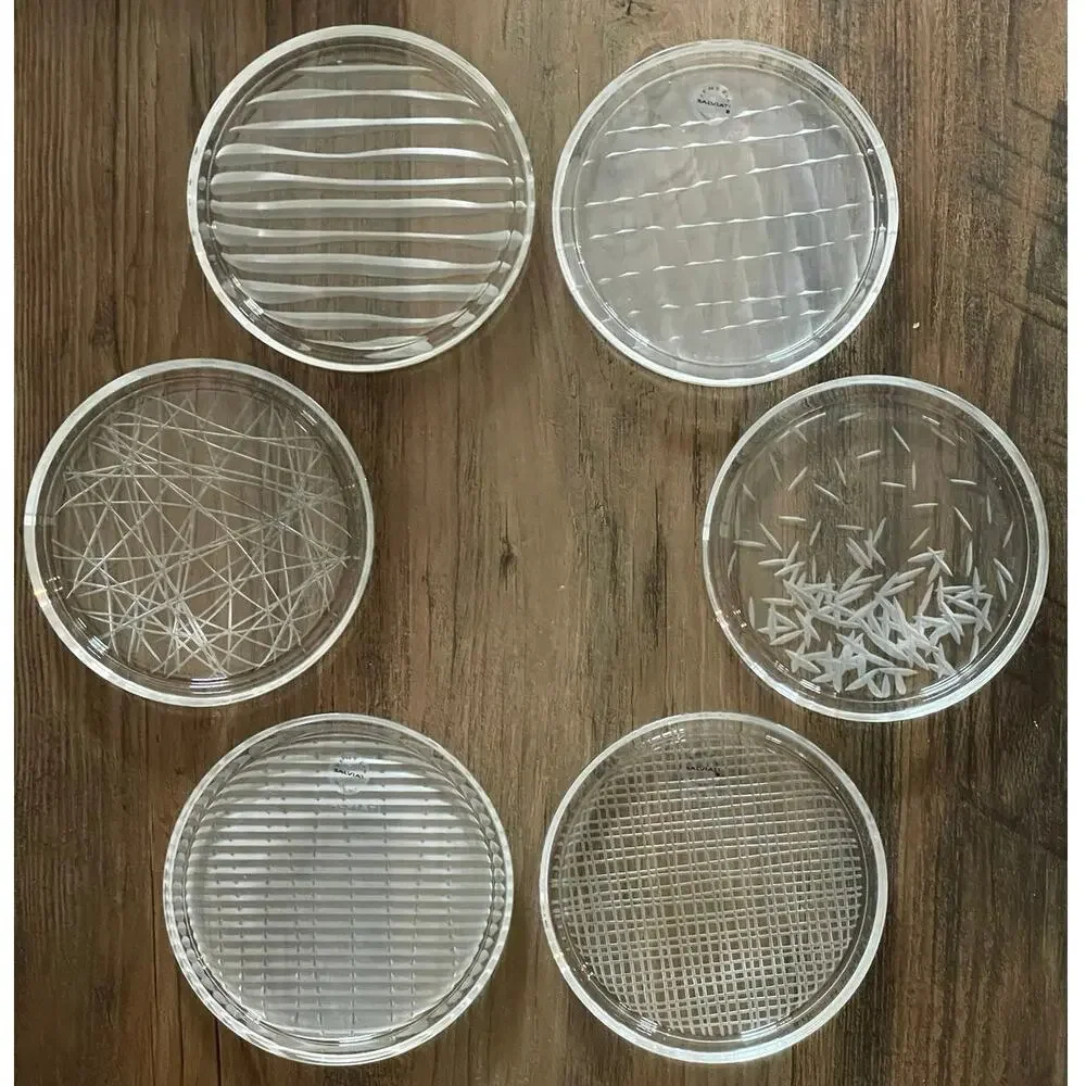 Vintage Set of 6 Salviati Venezia Crystal Coasters Etched Murano Art Glass MCM
